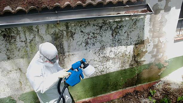 Top rated local Mold Remediation specialists in New Bloomfield, PA